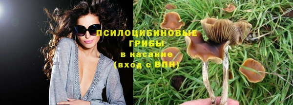 ALPHA PVP Зеленокумск