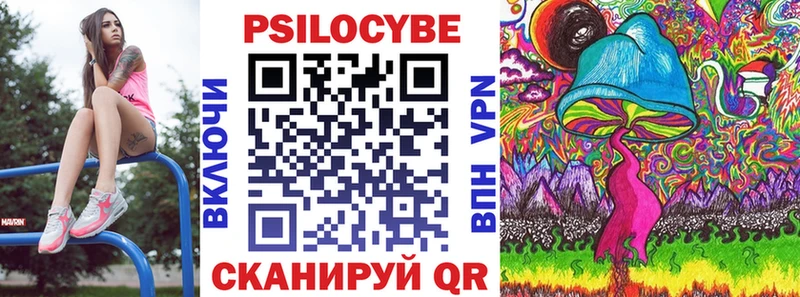 Галлюциногенные грибы Psilocybe  купить наркоту  Могоча 