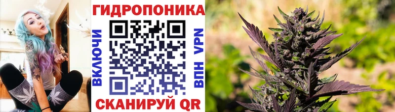 купить наркотики сайты Могоча МЕГА ссылки Канабис LSD WEED